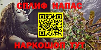 тгк Славгород