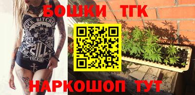 винт Сланцы