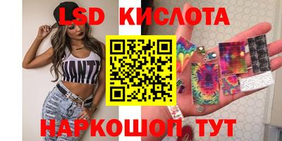 винт Сланцы